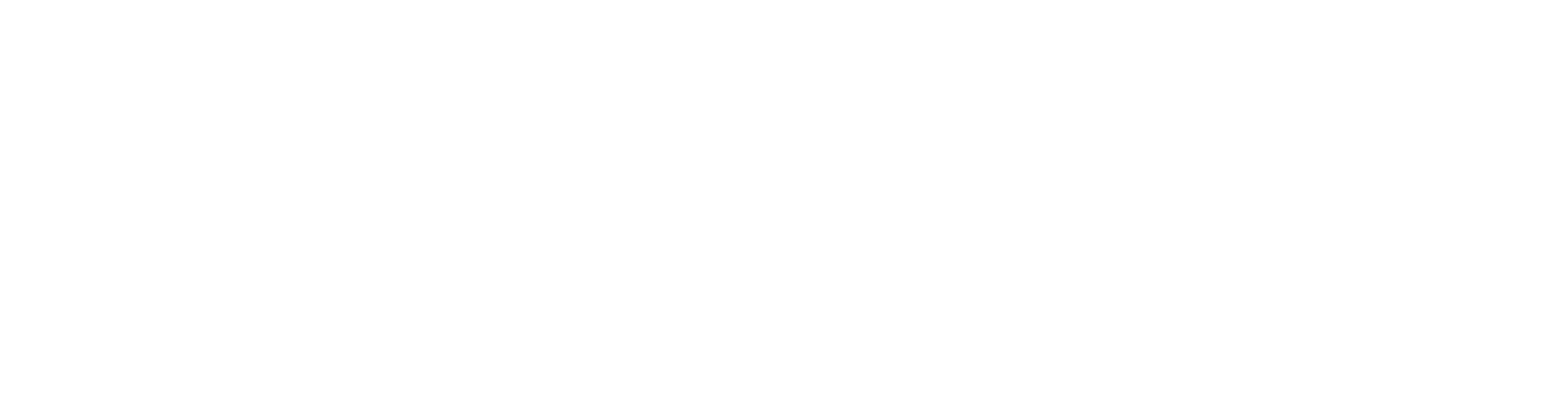 Network Data Services