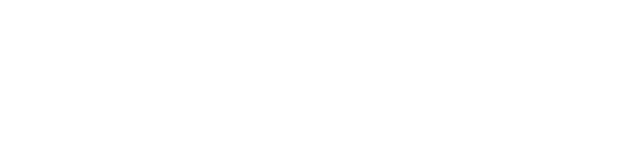 Network Data Services